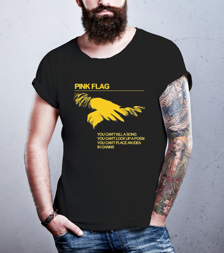 Pink Flag You Can't Kill A Song Poem Idea In Chains T-Shirt