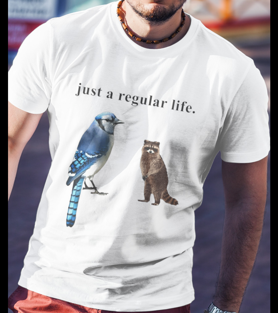 Just A Regular Life Raccoon And Bird Regular Show T-Shirt