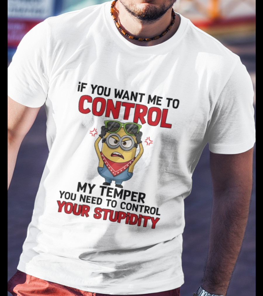 Grumpy Minion Control My Temper Control Your Stupidity T-Shirt