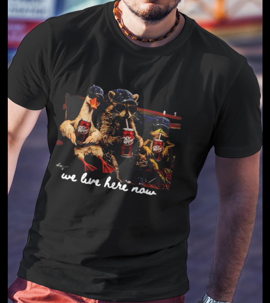 We Live Here Now Goose Raccoon Dr Pepper Meme T-Shirt