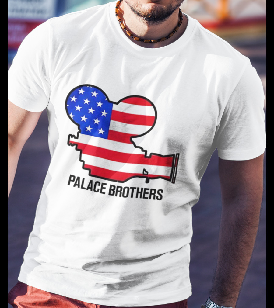 Palace Brothers American Flag Camera T-Shirt