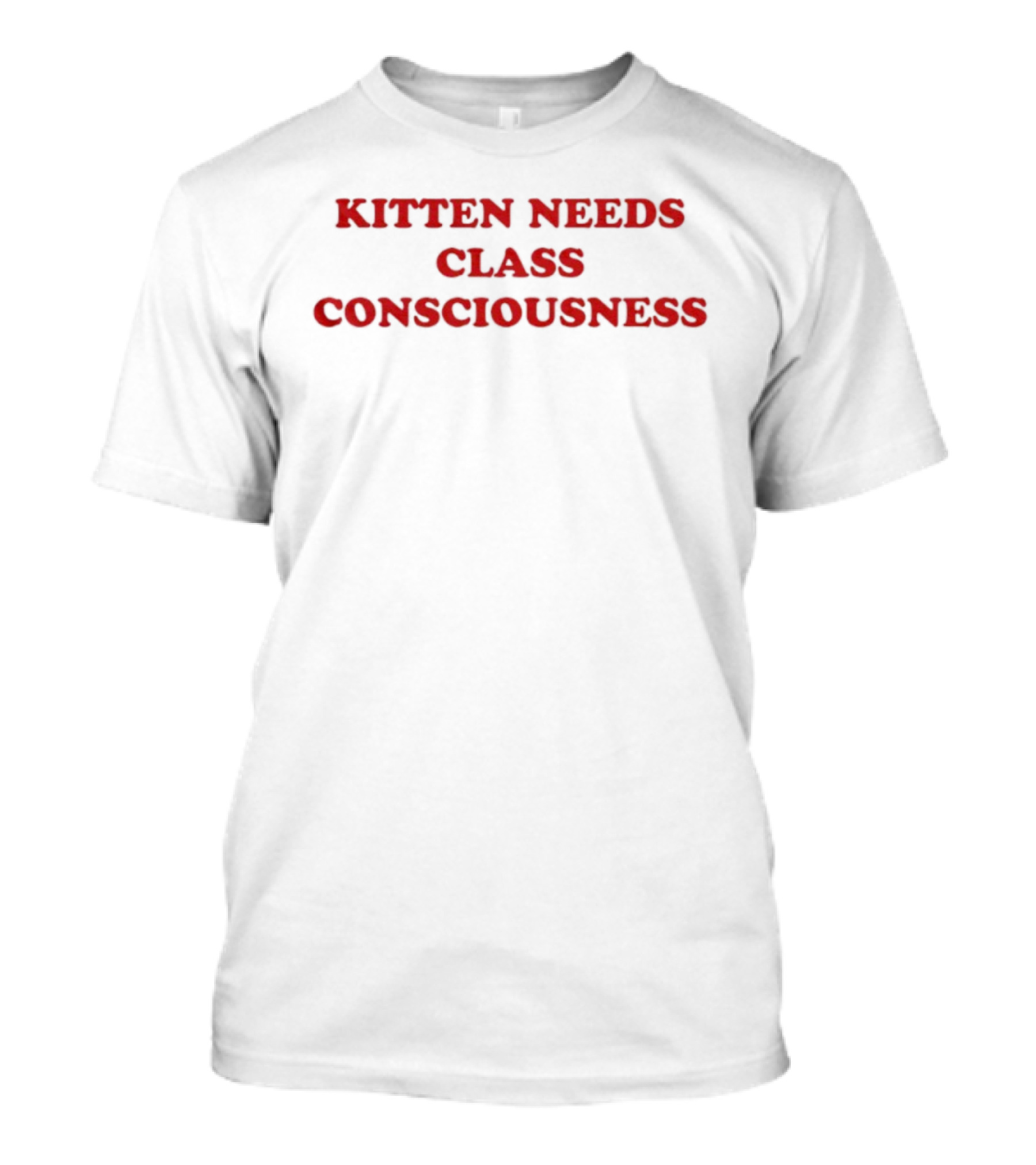Kitten Needs Class Consciousness Social Awareness Trend T-Shirt