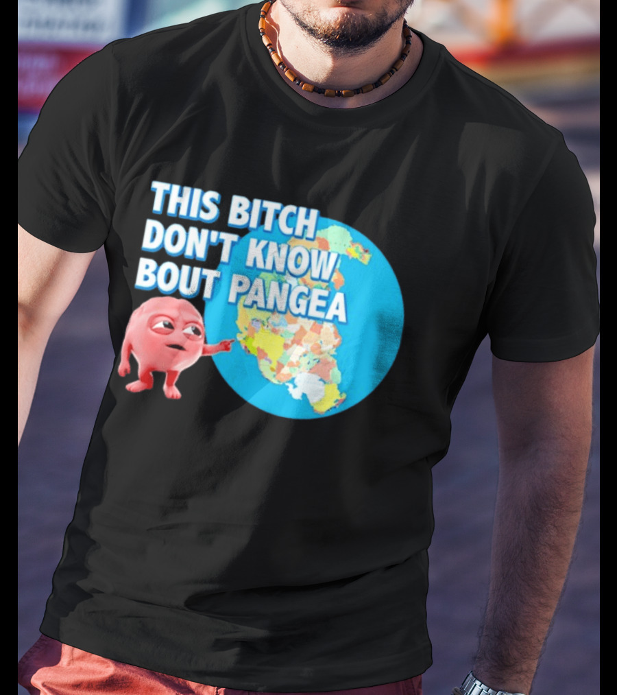 This Bitch Don't Know Bout Pangea Brain Meme Map T-Shirt