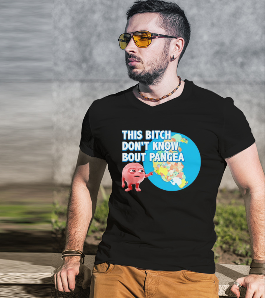 This Bitch Don't Know Bout Pangea Brain Meme Map T-Shirt
