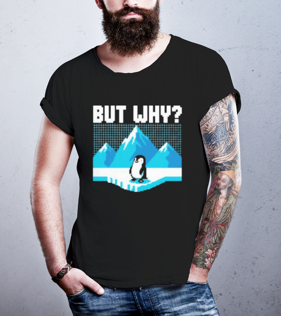 But Why Penguin Arctic Mountains Iceberg T-Shirt