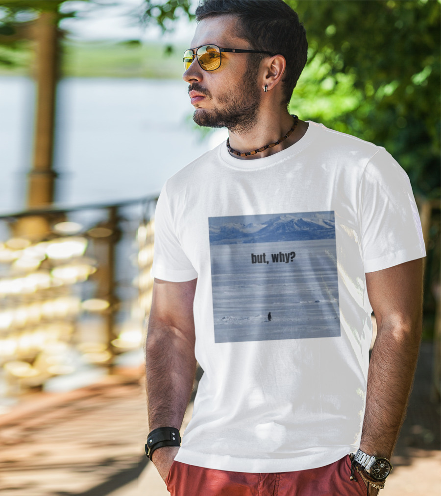 But Why Penguin On Ice With Mountain T-Shirt