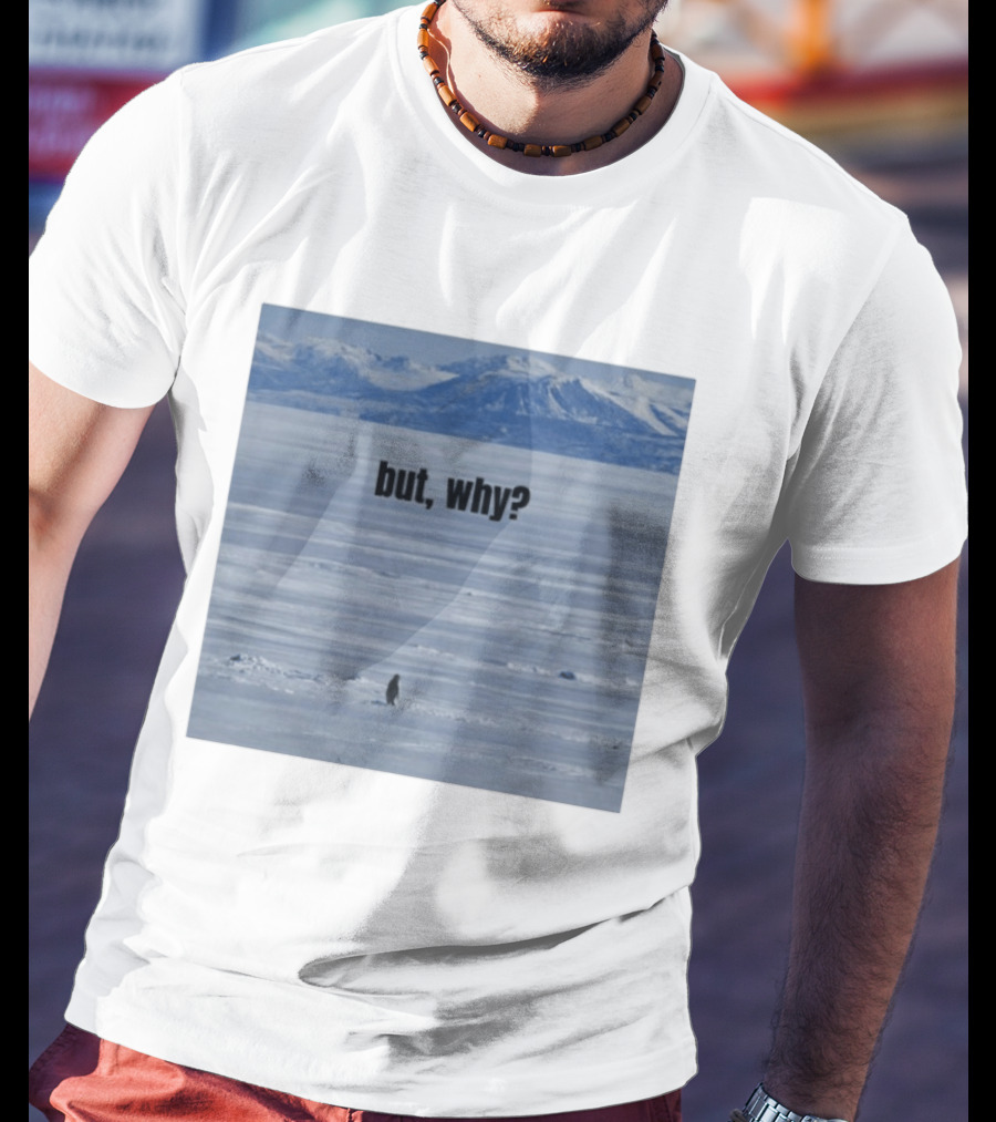 But Why Penguin On Ice With Mountain T-Shirt
