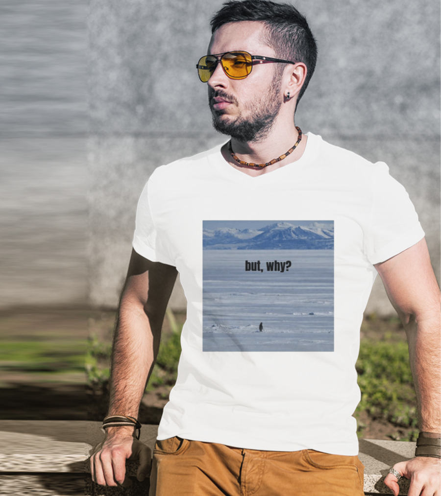 But Why Penguin On Ice With Mountain T-Shirt