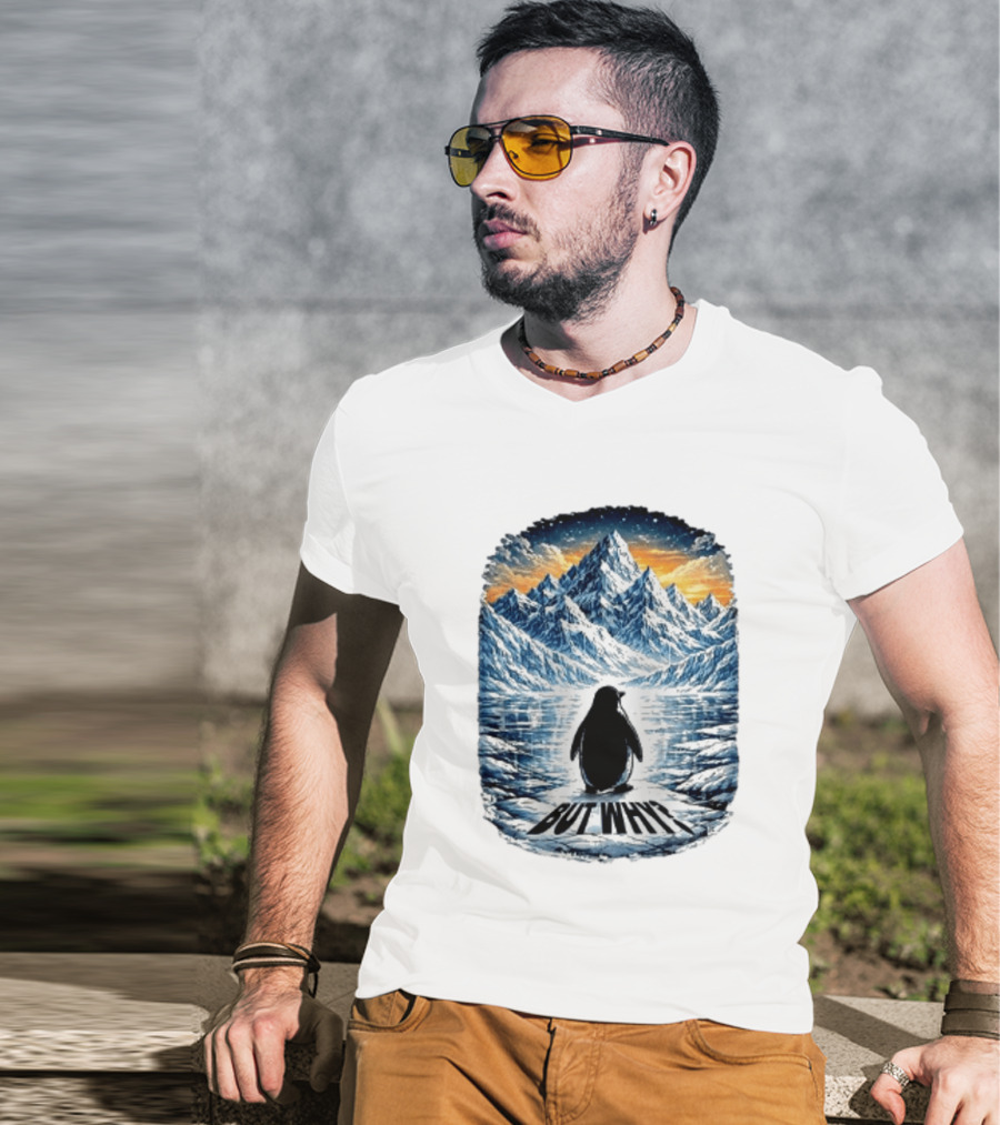 Viral Nihilist Penguin But Why Mountain Reflection T-Shirt