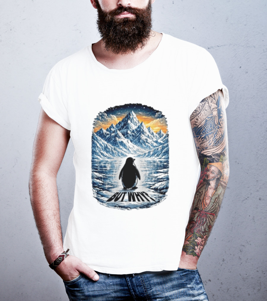 Viral Nihilist Penguin But Why Mountain Reflection T-Shirt