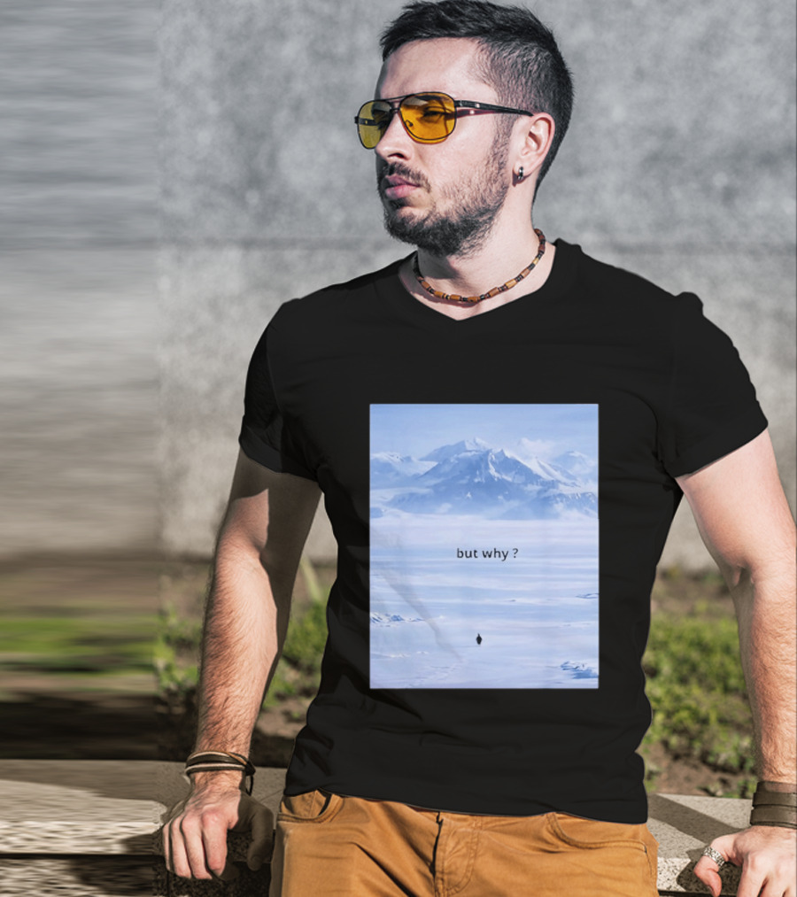 Penguin But Why Meme Snowy Mountains Motivational Scene T-Shirt
