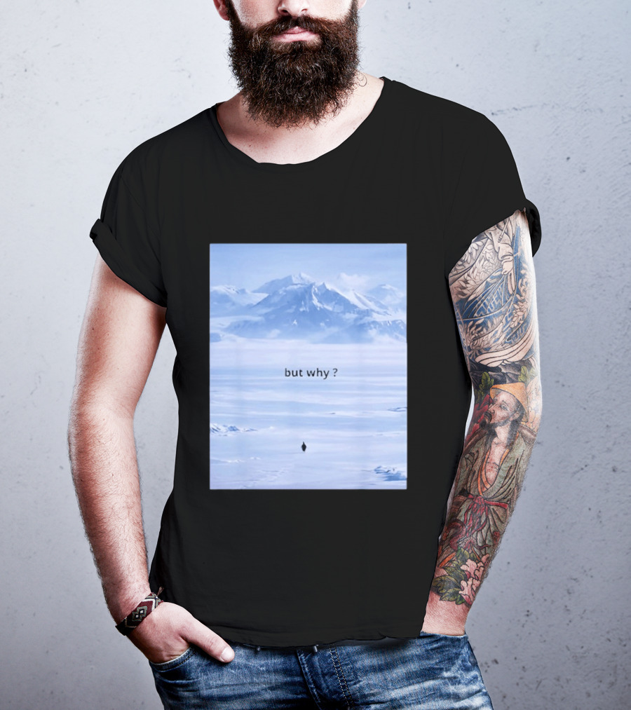 Penguin But Why Meme Snowy Mountains Motivational Scene T-Shirt