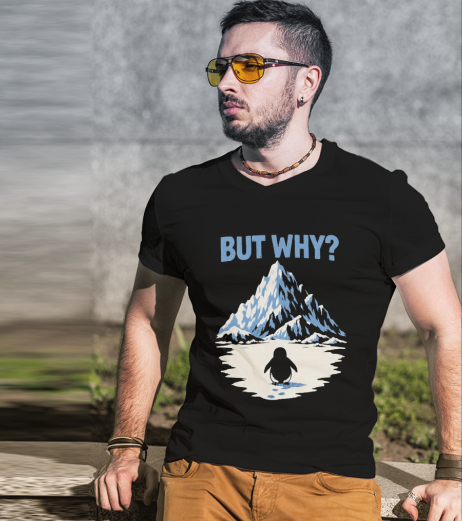 Why Penguin Snow Mountain Reflection T-Shirt