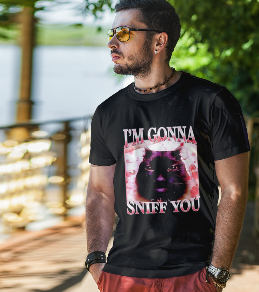 I'm Gonna Sniff You Cat Meme Valentine Aesthetic T-Shirt