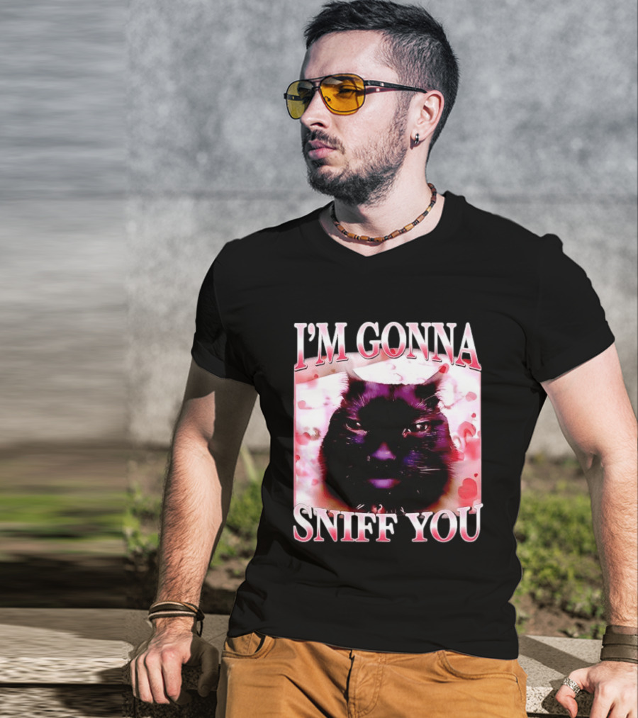 I'm Gonna Sniff You Cat Meme Valentine Aesthetic T-Shirt