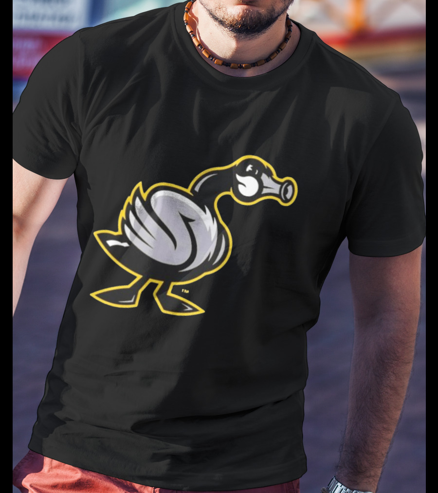 Wichita Honkers Canada Geese Cartoon Bird T-Shirt