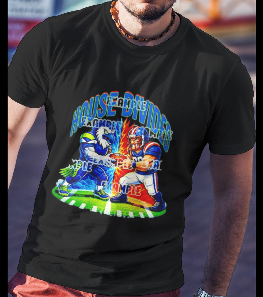 House Divided Seattle Seahawks Vs Football Rivalry Clash T-Shirt