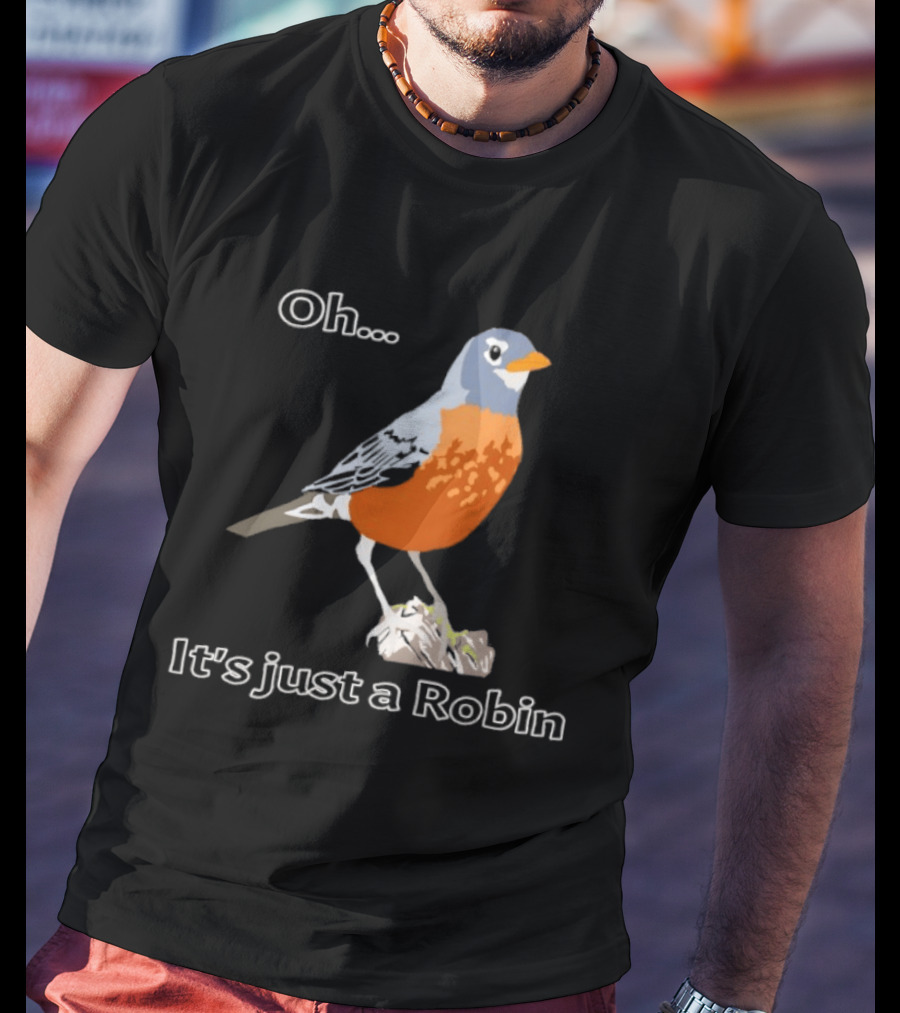 Oh It's Just A Robin Standing On Rock T-Shirt