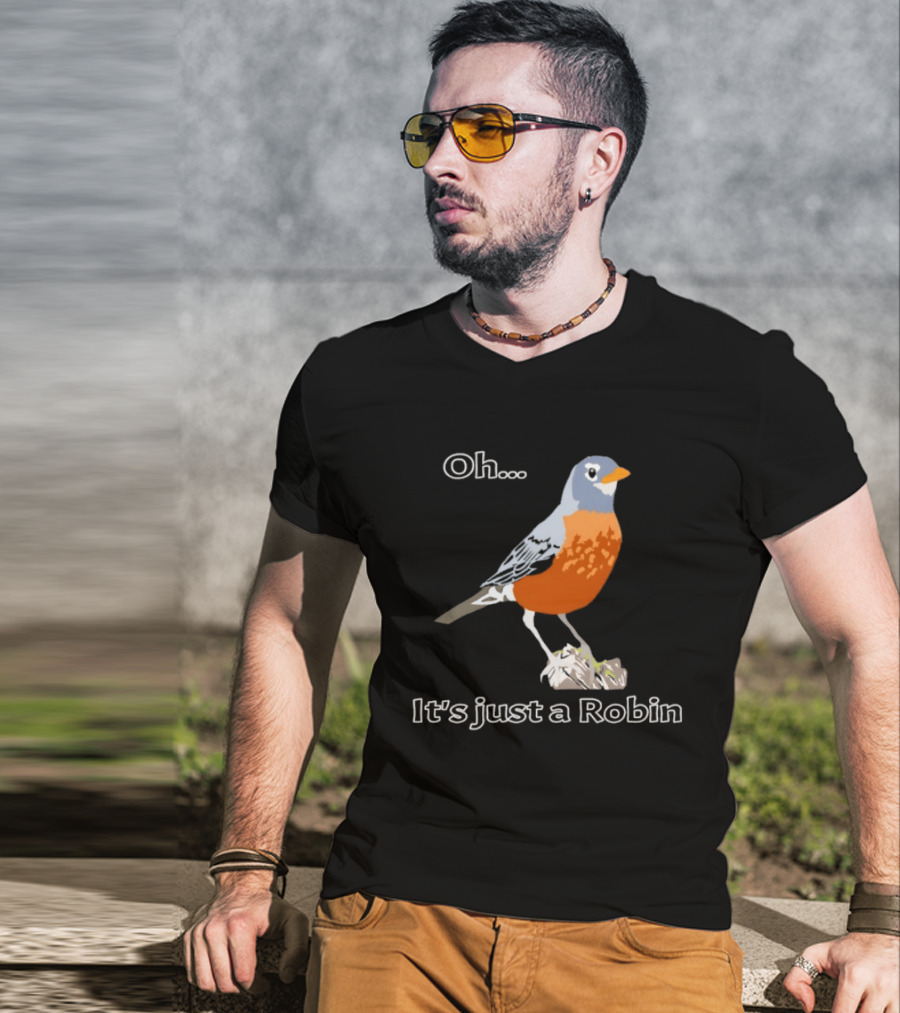Oh It's Just A Robin Standing On Rock T-Shirt