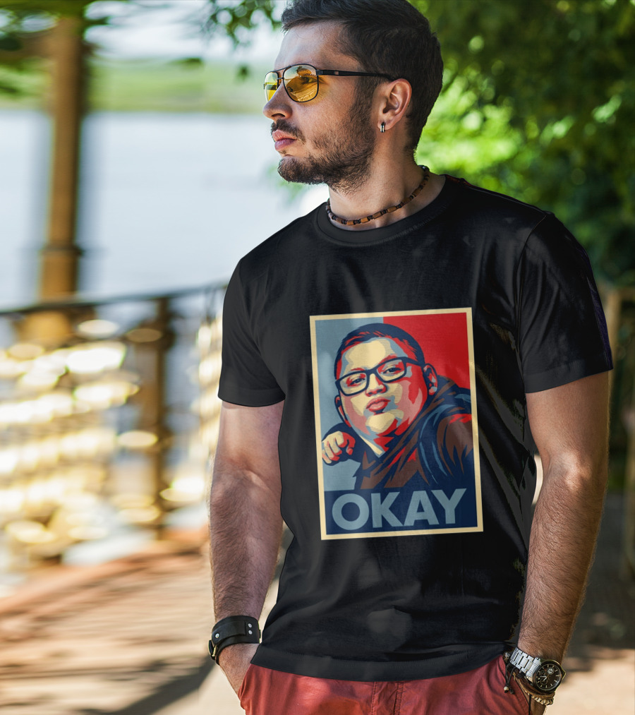 Okay Punch Kid Meme T-Shirt