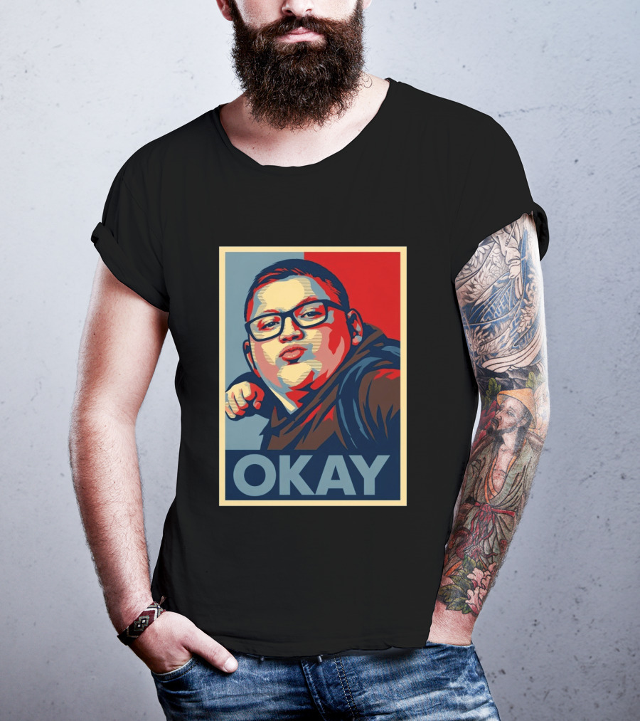 Okay Punch Kid Meme T-Shirt