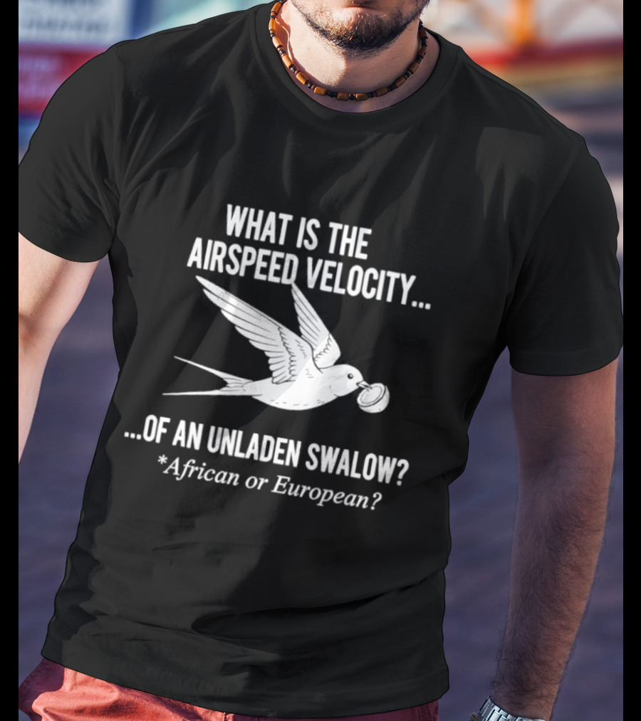 What Is The Airspeed Velocity Of An Unladen Swallow African Or European T-Shirt