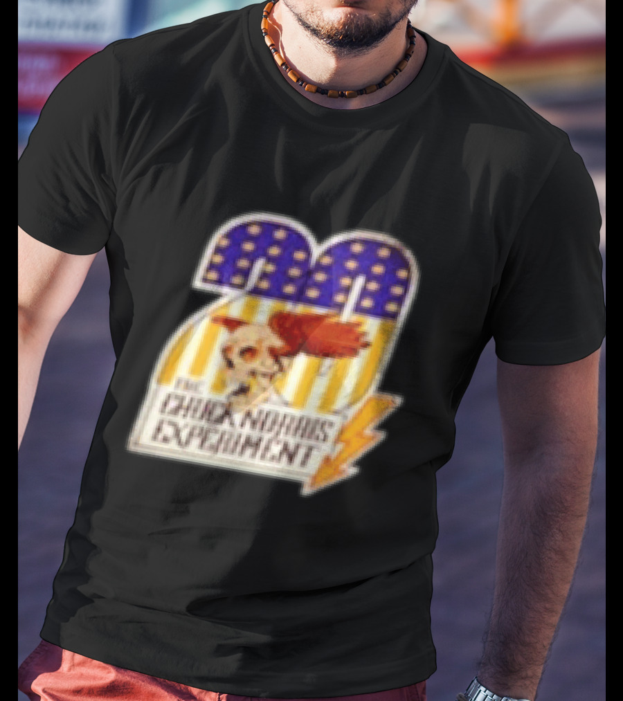 The Chuck Norris Experiment 20 Lightning Bolt Stars And Stripes Skull T-Shirt