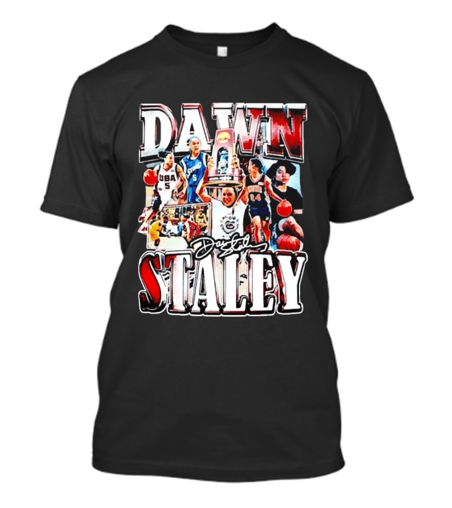 Dawn Staley South Carolina Gamecocks Basketball Collage USA Olympic Champion T-Shirt