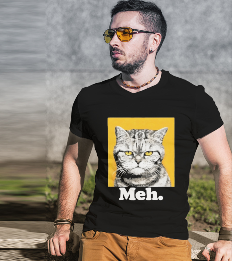 90 Day The Single Life Meh Cat T-Shirt