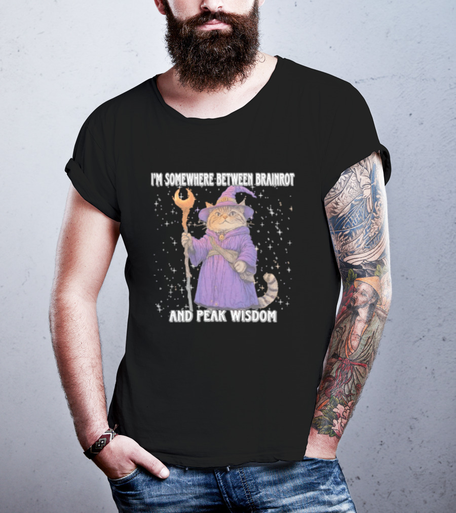I'm Somewhere Between Brainrot And Peak Wisdom Cat Wizard T-Shirt