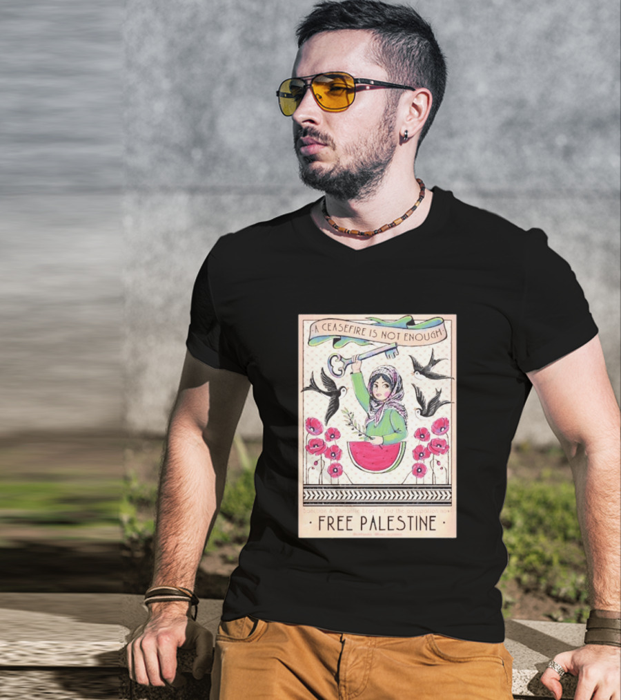 A Ceasefire Is Not Enough Free Palestine Sanction And Dismantle Israel End The Occupation Now T-Shirt