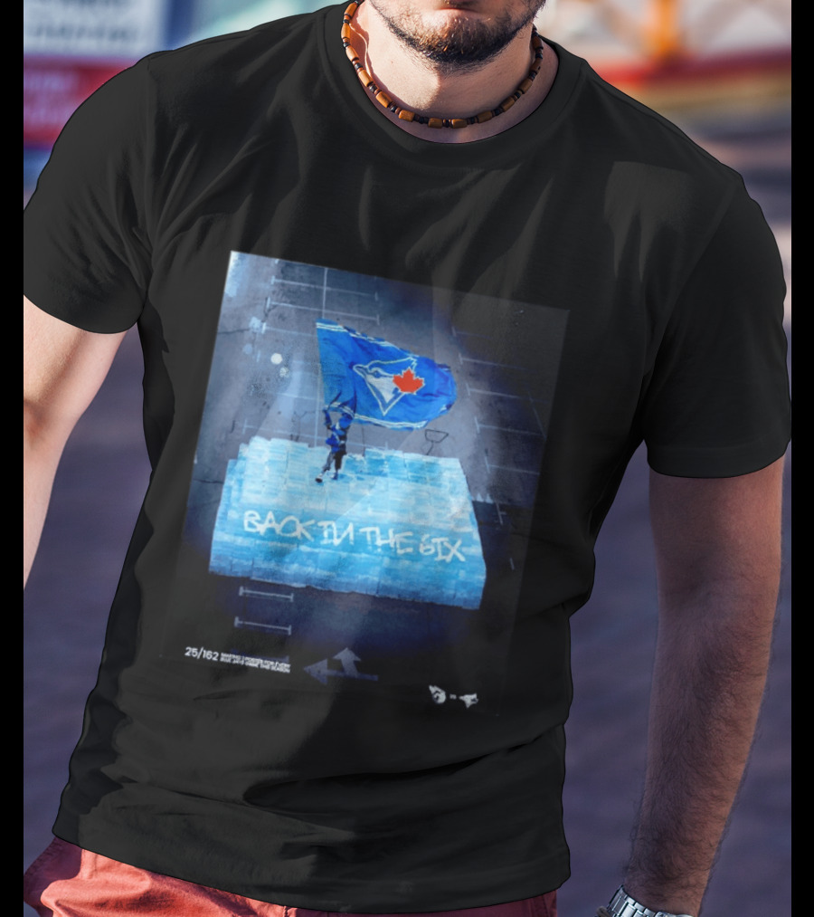 Toronto Blue Jays Back In The 6ix Ice Flag And Blocks T-Shirt