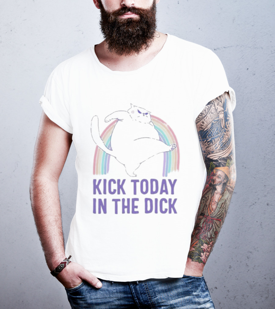 Kick Today In The Dick Rainbow Cat T-Shirt