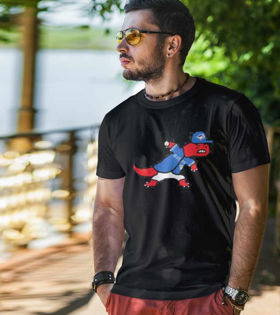 Toronto Blue Jays Raptors Collaboration Paint Style Sports Fan T-Shirt