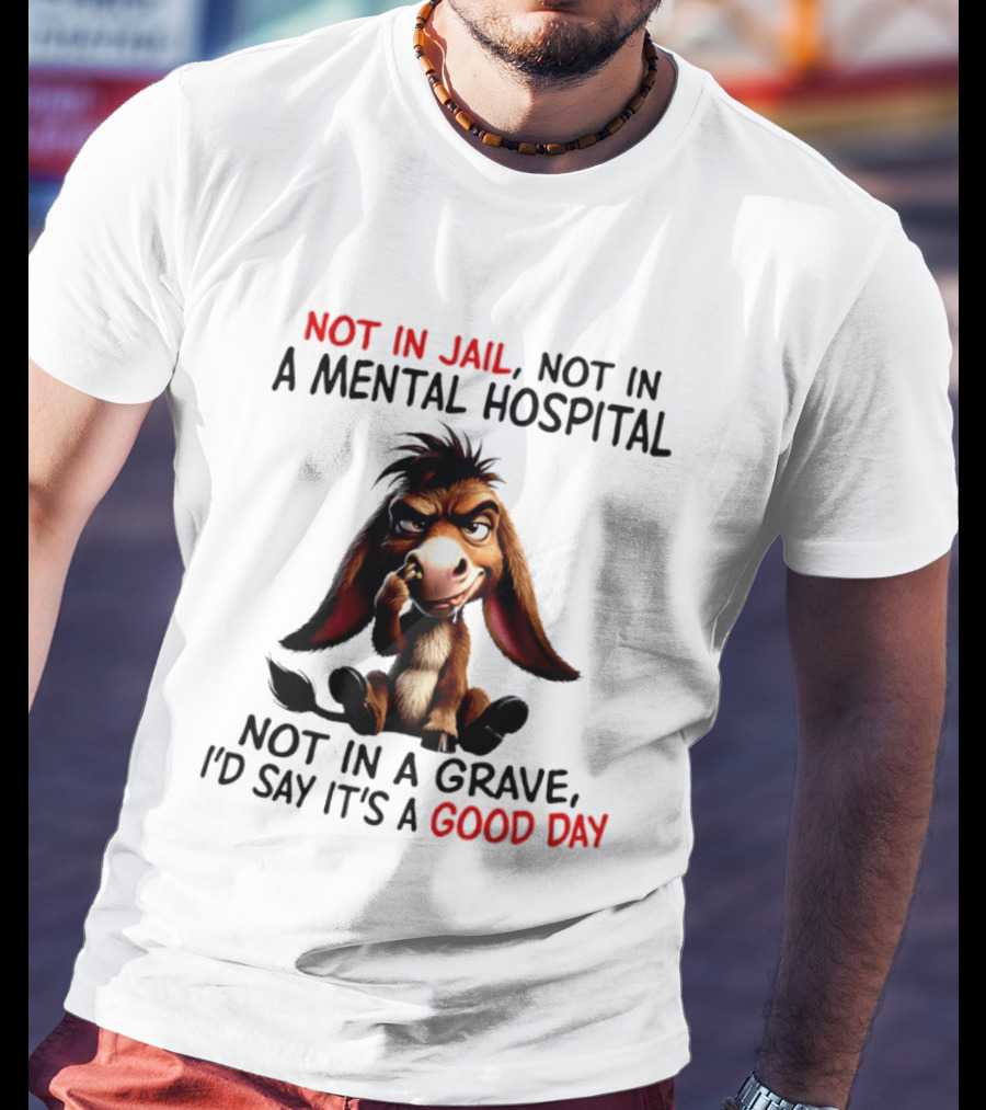 Donkey Not In Jail Not In A Mental Hospital Not In A Grave I'd Say It's A Good Day T-Shirt
