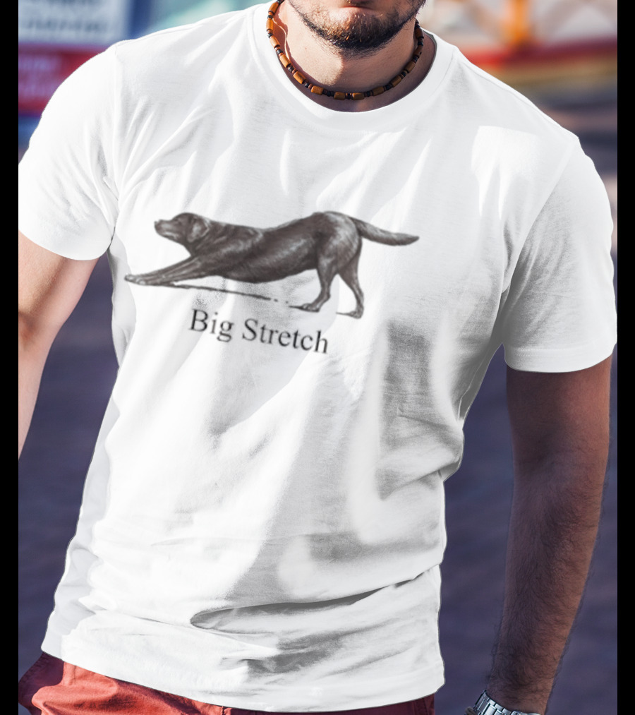 Big Stretch Labrador Retriever Stretching Pose T-Shirt