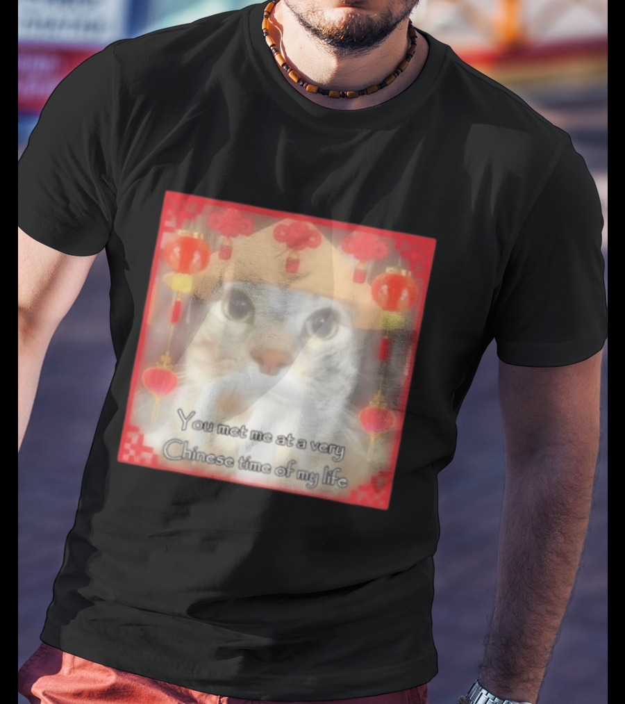 You Met Me At A Very Chinese Time Of My Life Cat Lanterns Hat T-Shirt