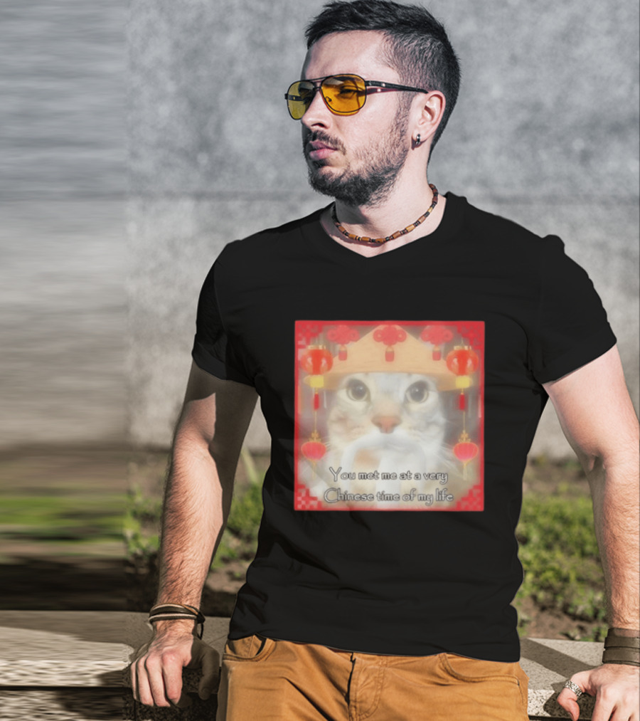 You Met Me At A Very Chinese Time Of My Life Cat Lanterns Hat T-Shirt