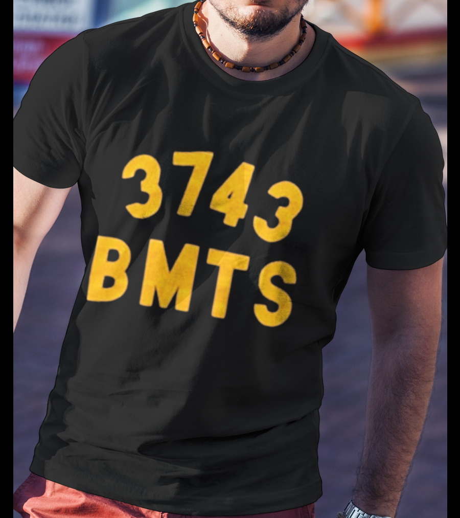 Barn Owl Seattle 3743 BMTS T-Shirt