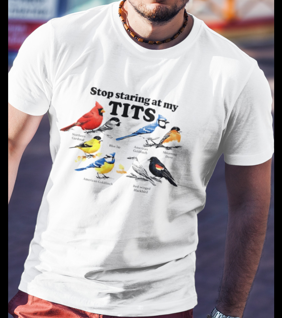 Stop Staring At My Tits Northern Cardinal Blue Jay American Goldfinch Mourning Dove Red Winged Blackbird T-Shirt
