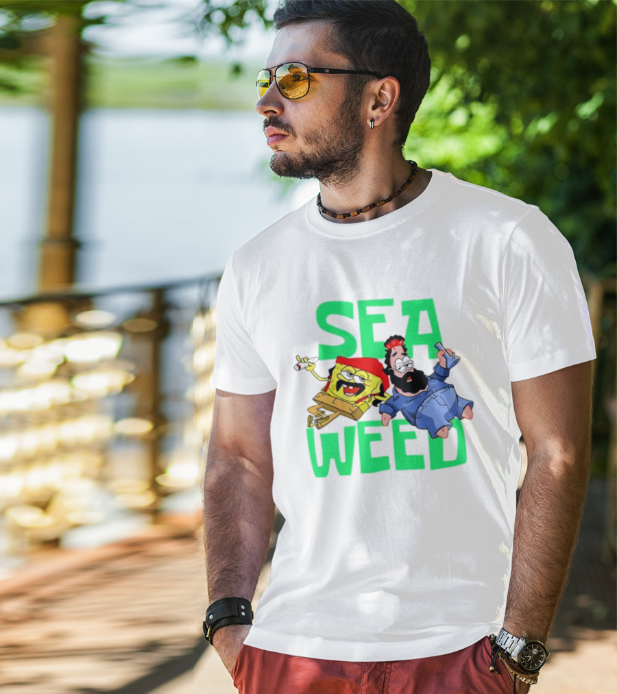 Sea Weed Sponge And Bearded Duo Cartoon Characters T-Shirt