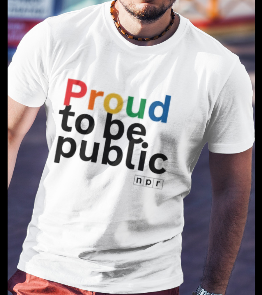 Proud To Be Public Colorful Pride T-Shirt