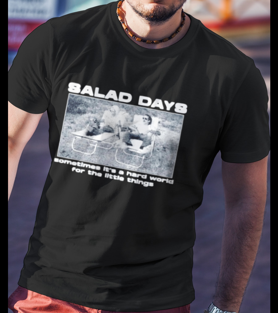 SALAD DAYS Sometimes It's A Hard World For The Little Things Vintage Lounge Chair Image T-Shirt