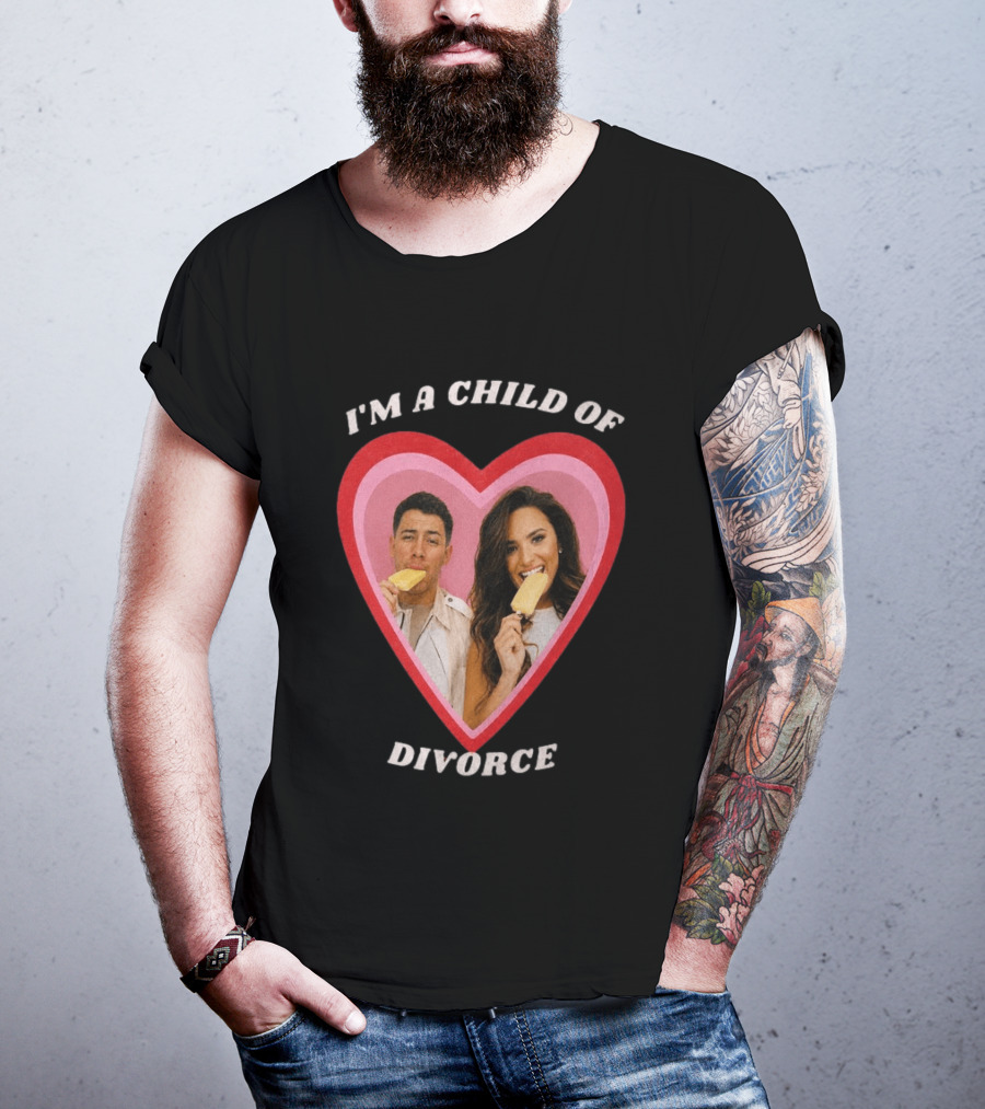 I'm A Child Of Divorce Nick Jonas Demi Lovato Heart Popsicle Image T-Shirt