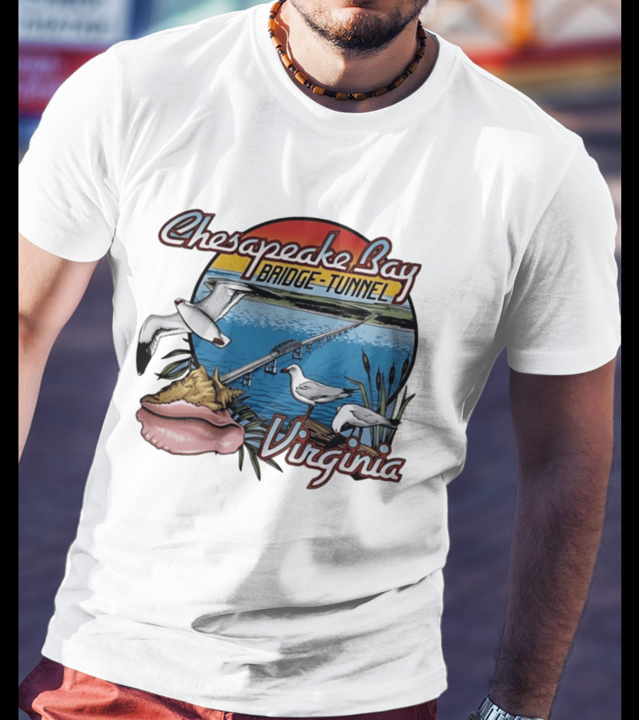 Chesapeake Bay Bridge Tunnel Virginia Seagulls Sunset Scene T-Shirt