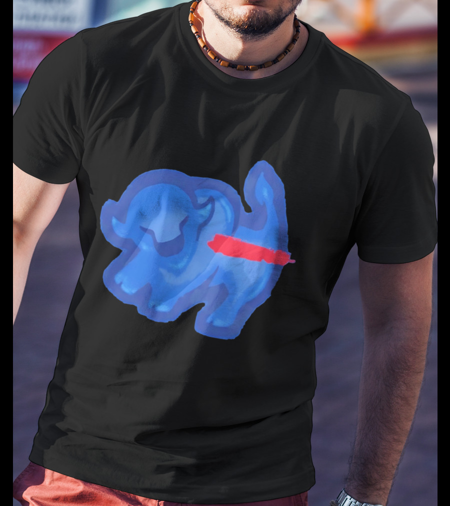 Bison King Buffalo Bills 2026 Football Team Spirit T-Shirt
