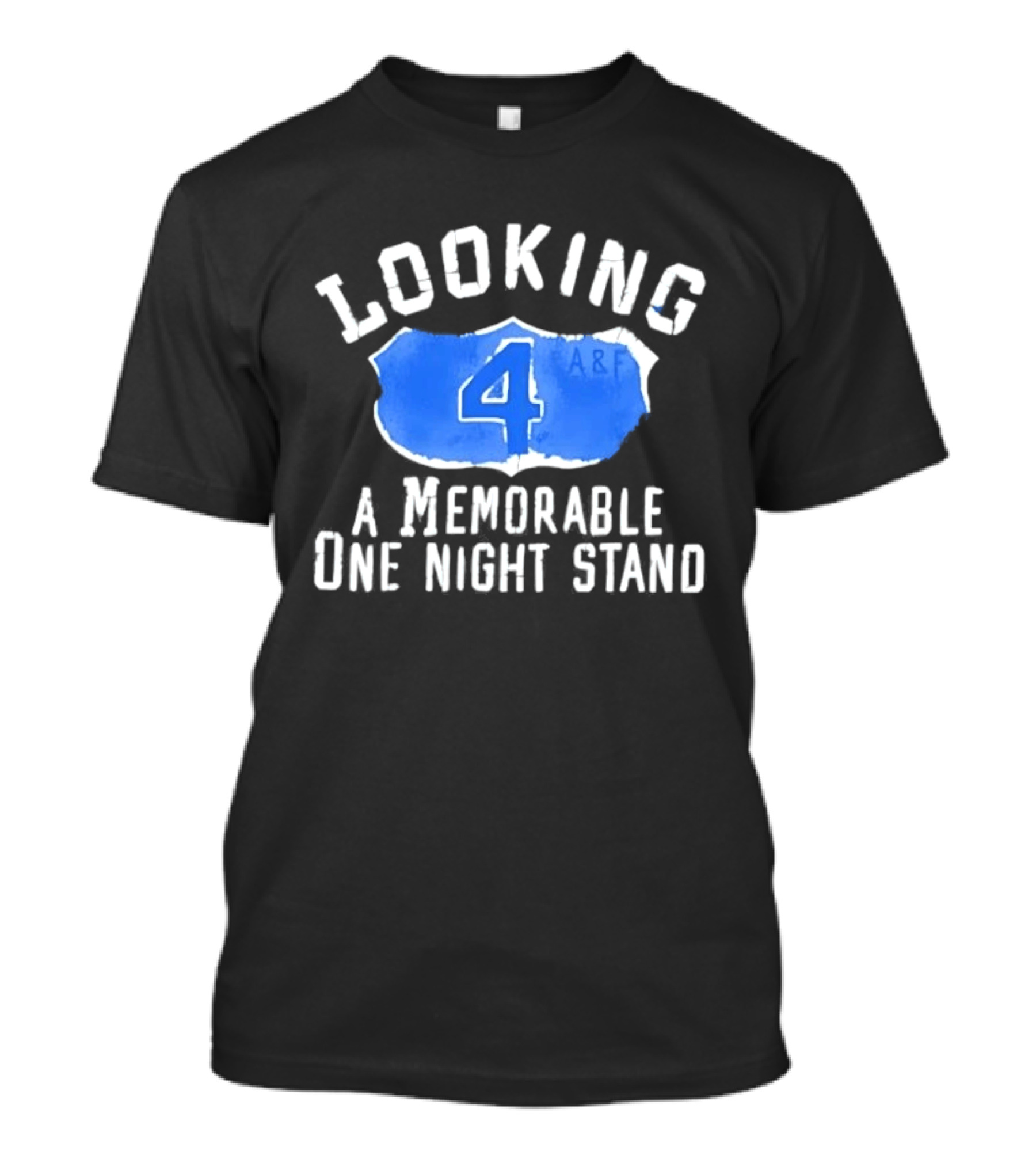 Looking 4 A Memorable One Night Stand A&F T-Shirt
