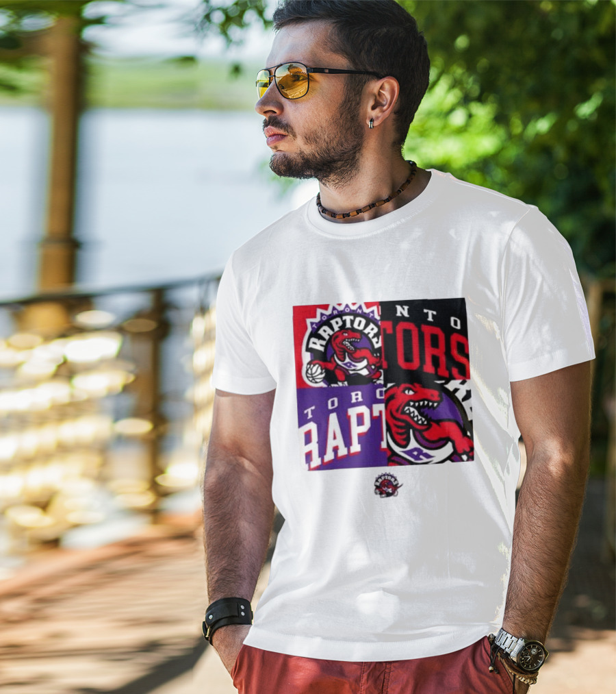 Toronto Raptors NBA Block Team Logo Graphic Raptors Basketball T-Shirt