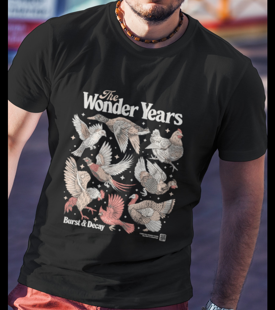The Wonder Years Burst Decay Birds Vintage Aesthetic T-Shirt