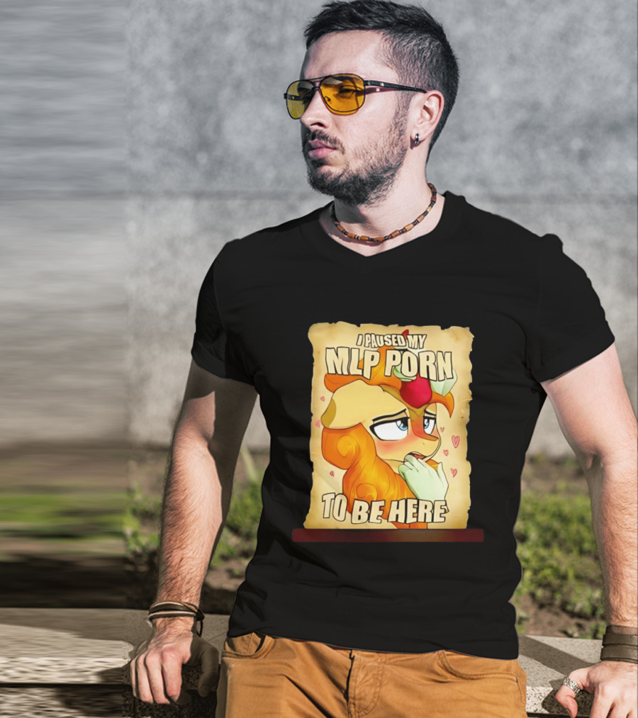 I Paused My MLP Porn To Be Here My Little Pony T-Shirt